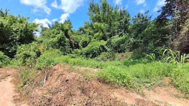 0 Gray Academy Rd unit 161240, Ashland, MS 38603 - photo 5