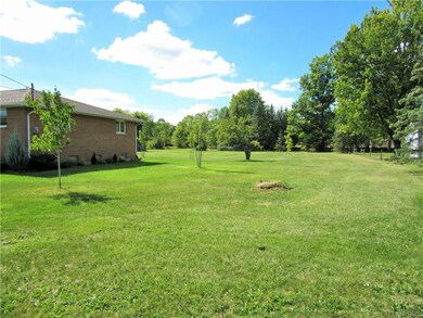 Side lot with more new landscaping and trees!