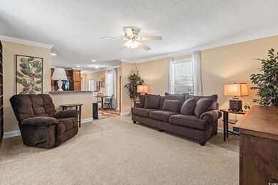 Carpeted living room featuring crown molding, ceil