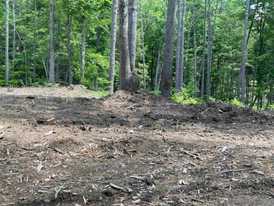 00 Jack Russell Rd unit 408-45-2, Effingham, NH 03882 - photo 7