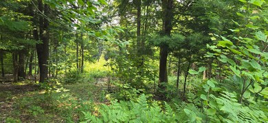 486 N High St, Bridgton, ME 04009 - photo 2