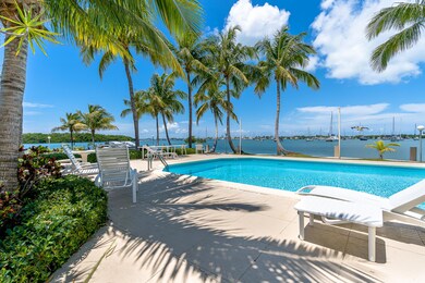 Pool and Palms