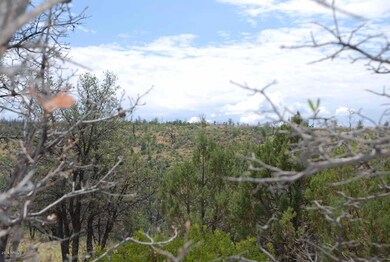 Lot 39 E Antelope Trail unit 39, Payson, AZ 85541 - photo 4