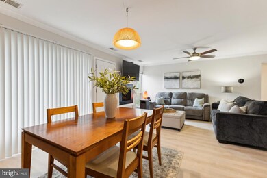 3859 El Camino Place unit 2, Alexandria, VA 22309 - photo 7