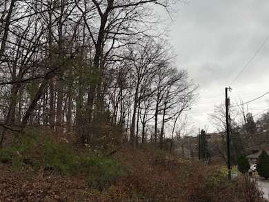 000 Autumn Dr, Dunbar, WV 25064 - photo 5