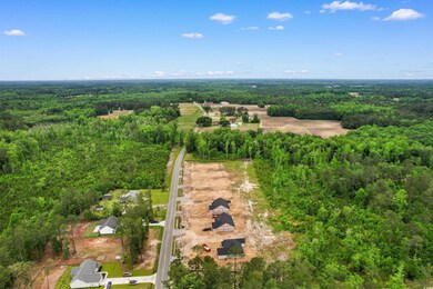 504 Cane Branch Rd unit Lot 5- Live Oak, Loris, SC 29569 - photo 4