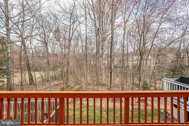 1403 Newport Spring Ct, Reston, VA 20194 - photo 7