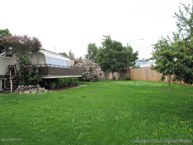Back Yard 2