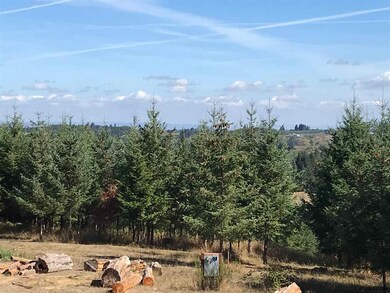 20240 Oregon 22, Sheridan, OR 97378 - photo 6