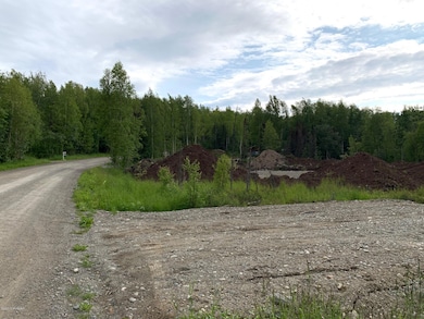 7301 W Indigo Dr, Meadow Lakes, AK 99623 - photo 2