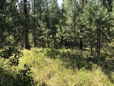 3.32 Acres of Wooded Heaven