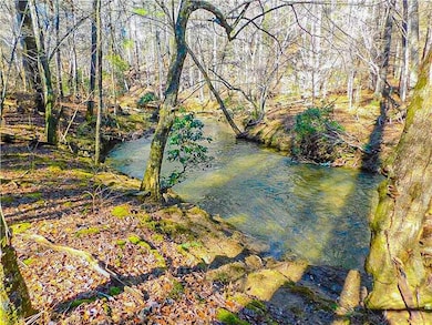 00 Woodland Ln, Dahlonega, GA 30533 - photo 3