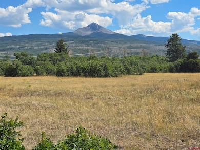 tbd Lone Cone Meadows Ln, Norwood, CO 81423 - photo 6