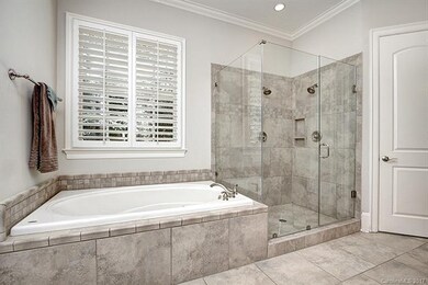 Frameless Walk-in Shower with Dual Shower Heads an