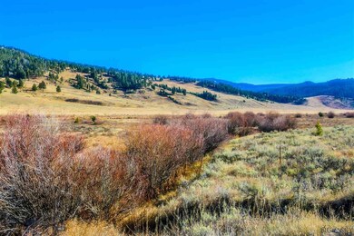 Parcel 3B Hwy 191 Hwy S, Gallatin Gateway, MT 59730 - photo 6