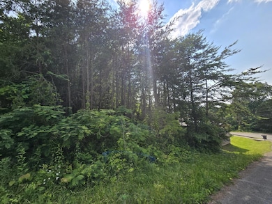 1466 Dandelion Cir, Morristown, TN 37814 - photo 2