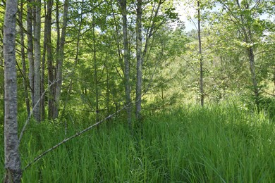 0 Main St unit 4916430, Bethlehem, NH 03574 - photo 6