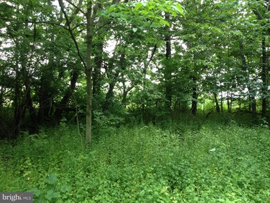 285 White Post Rd, White Post, VA 22663 - photo 5