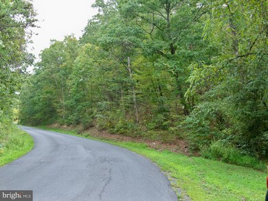 0 Three Run Rd unit 1000089147, Bunker Hill, WV 25413 - photo 5