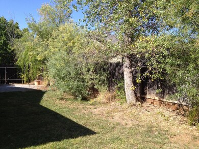 Side Yard