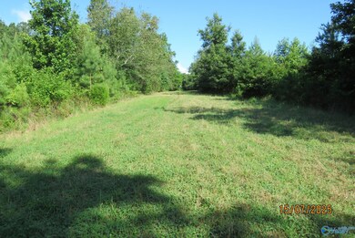 304A Riverview Dr, Grant, AL 35747 - photo 7