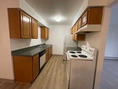 1023 Kuhn Rd unit 4, Carol Stream, IL 60188 - photo 5