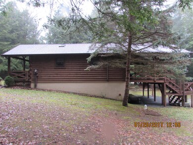 4380 Queens Run Rd, Lock Haven, PA 17745 - photo 4