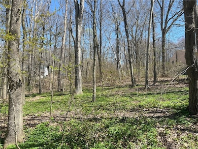 0 Janes Rd, Castile, NY 14530 - photo 3