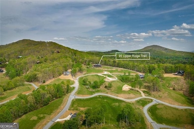 95 Upper Ridge Trail, Morganton, GA 30560 - photo 5