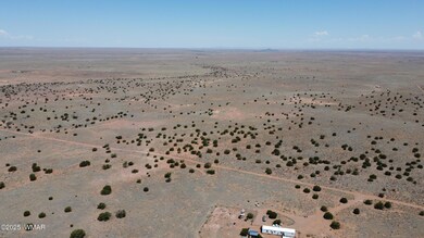 DJI_0393