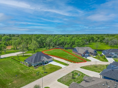 No Back Neighbors & You have a View of Brazos Rive