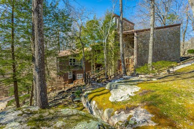 401 Mcfarland Rd, Lookout Mountain, GA 30750 - photo 2
