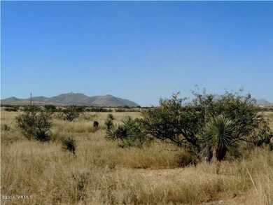 20 Ac On Johnson Rd, Dragoon, AZ 85609 - photo 4