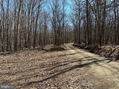 0 35 Acres Orchard Ln, Paw Paw, WV 25434 - photo 7