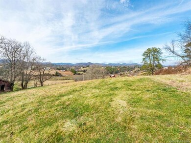 99999 King Dr, Leicester, NC 28748 - photo 2