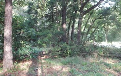 204 SW Iowa Dr, Fort White, FL 32038 - photo 4