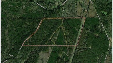 + - 195 Acres unit Hinds County MS, Utica, MS 39170 - photo 5