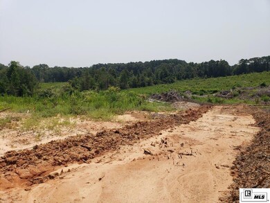 0 Demoss Rd, Eros, LA 71238 - photo 5