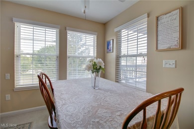 23004 Chandlers Ln unit 4-229, Olmsted Falls, OH 44138 - photo 7