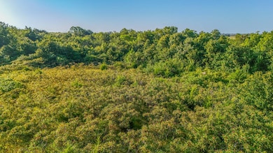 14.87Ac Vfw Rd, Glencoe, OK 74032 - photo 5