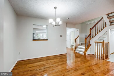 7951 Brightmeadow Ct, Ellicott City, MD 21043 - photo 5