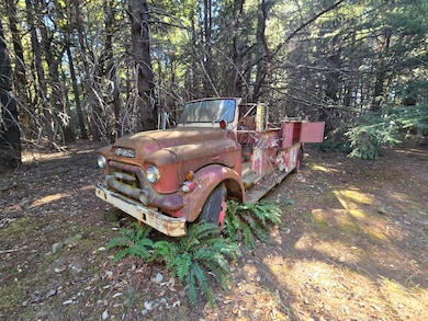 00 Panther Gap Rd, Honeydew, CA 95545 - photo 7