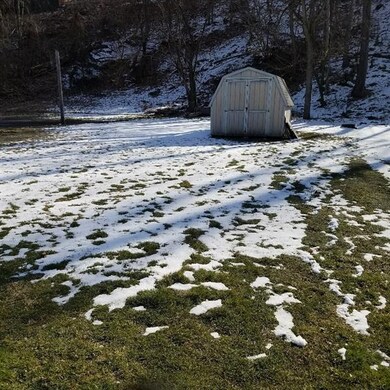 Rear yard with shed