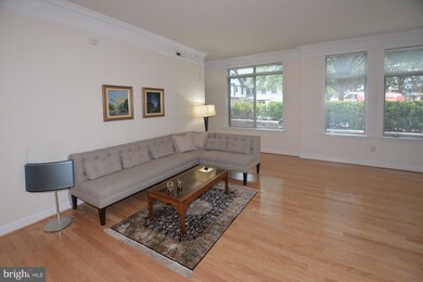 The Palladium at McLean unit G05-5, McLean, VA 22101 - photo 4