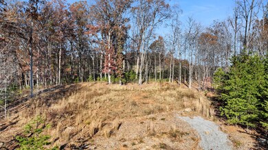 Lot 39 Harbour Island Ln, Moneta, VA 24121 - photo 4