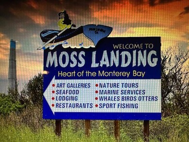 00 Bluff Rd, Moss Landing, CA 95039 - photo 7