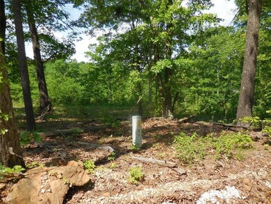 16859 Wyola Rd, Winslow, AR 72959 - photo 2