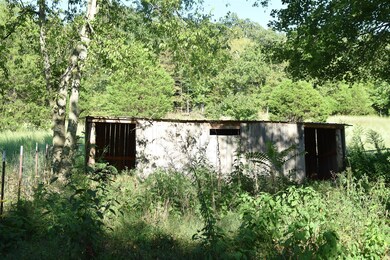 Livestock Shed