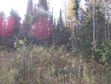 ON Cth T, Tripoli, WI 54564 - photo 6