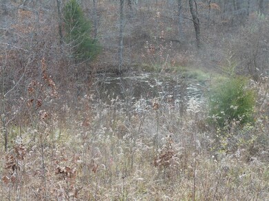 24070 Us Highway 52, Laurel, IN 47024 - photo 5